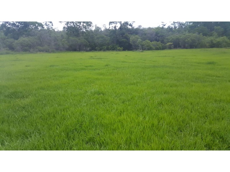 Lots 9 and 10 Greberts Road, Whiteman Creek NSW 2460