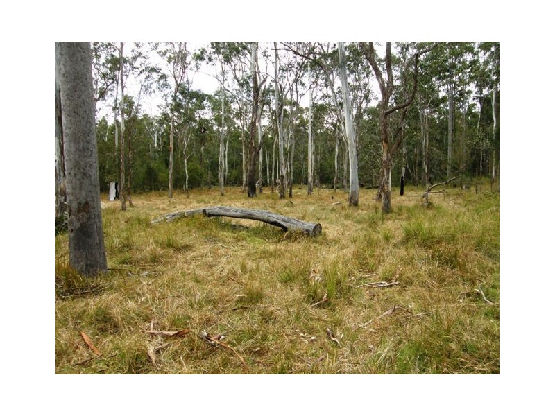 Lot 8 Blacksmith Shop Road, Newton Boyd NSW 2370