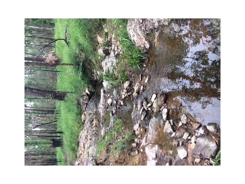 Lot 8 Blacksmith Shop Road, Newton Boyd NSW 2370