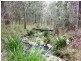 Lot 8 Blacksmith Shop Road, Newton Boyd NSW 2370