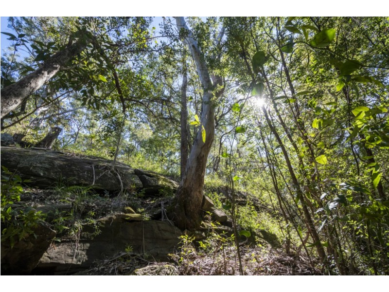 5 Sanders Road, Whiteman Creek NSW 2460