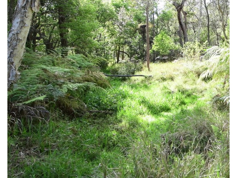 58 Eaton Street, Copmanhurst NSW 2460