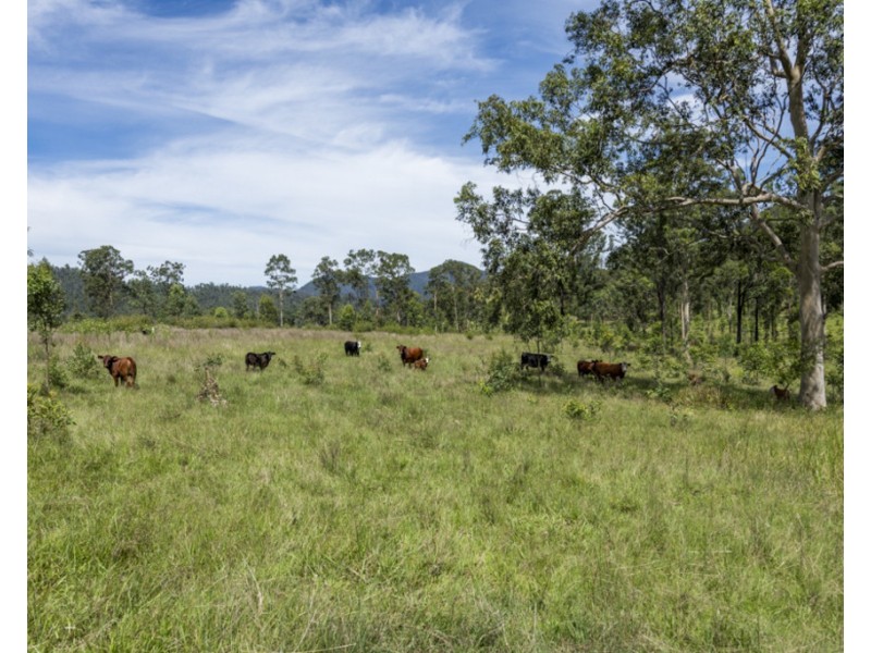 Lots 4/284 Frickers Road, Nymboida NSW 2460