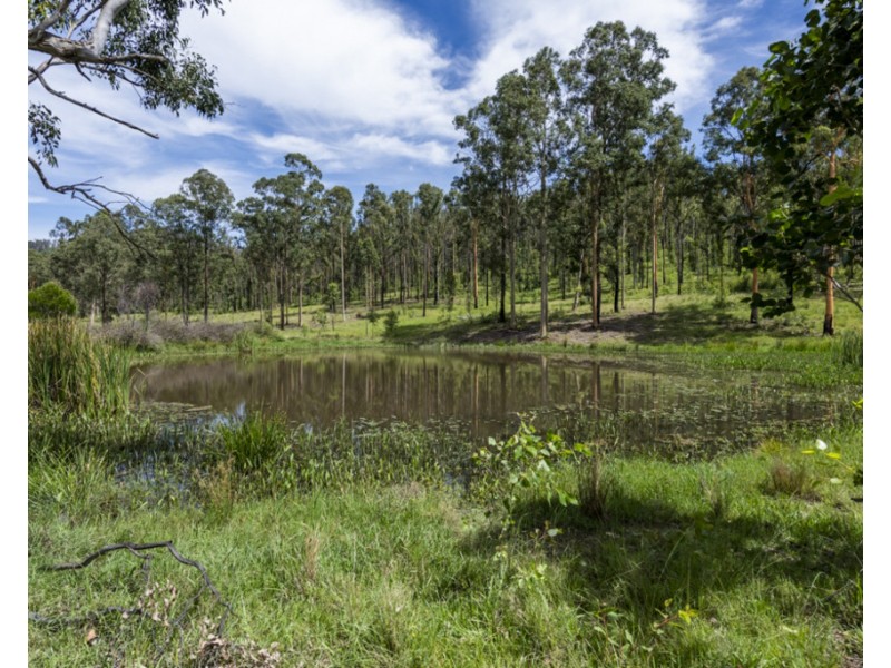 Lots 4/284 Frickers Road, Nymboida NSW 2460