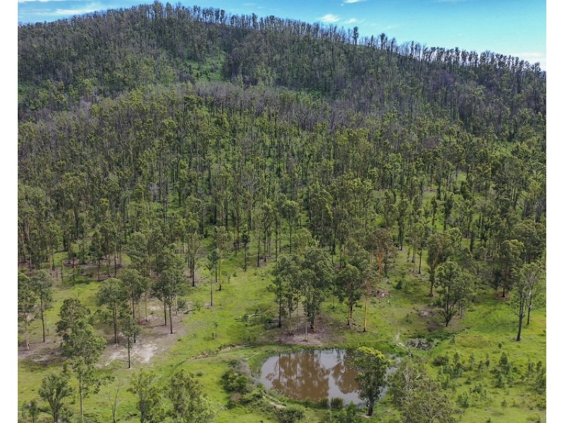 Lots 4/284 Frickers Road, Nymboida NSW 2460