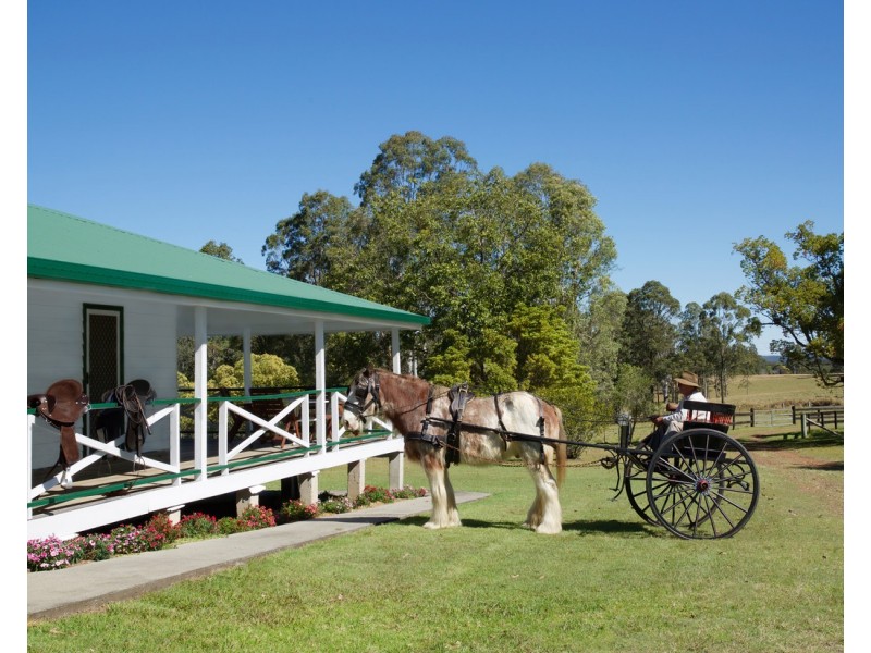 4984 Pringles Way, Lawrence NSW 2460