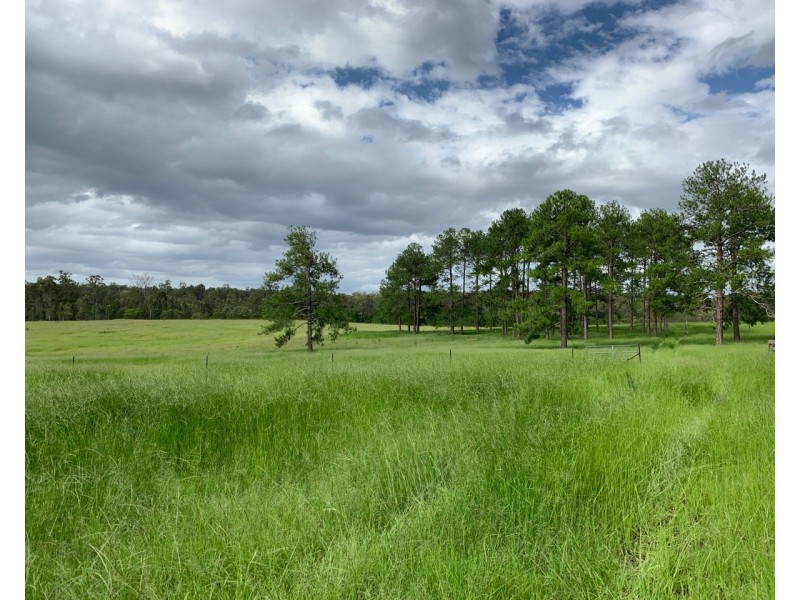 4984 Pringles Way, Lawrence NSW 2460