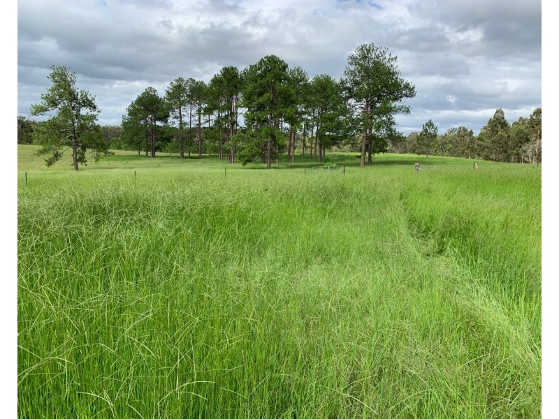 4984 Pringles Way, Lawrence NSW 2460