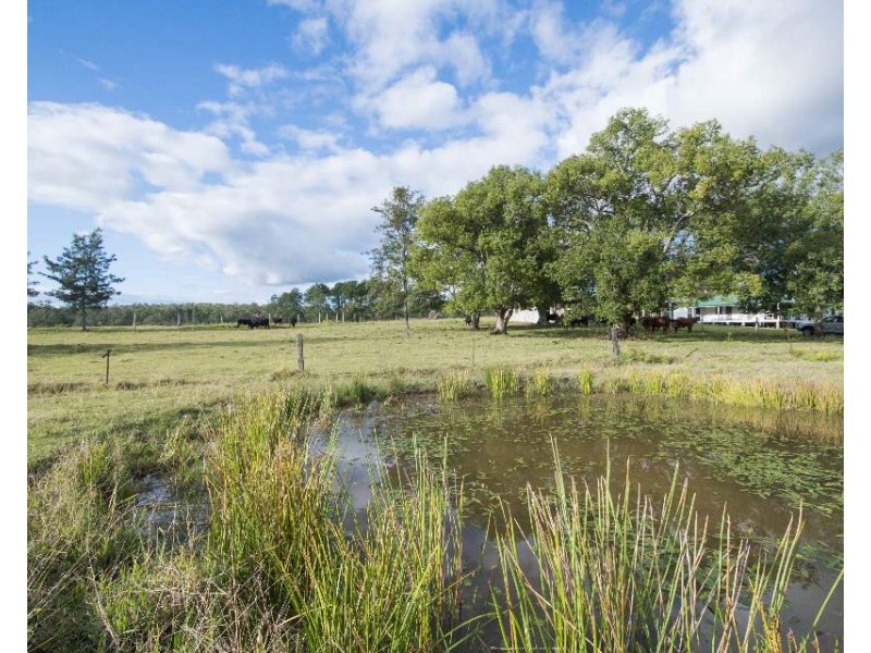 4984 Pringles Way, Lawrence NSW 2460