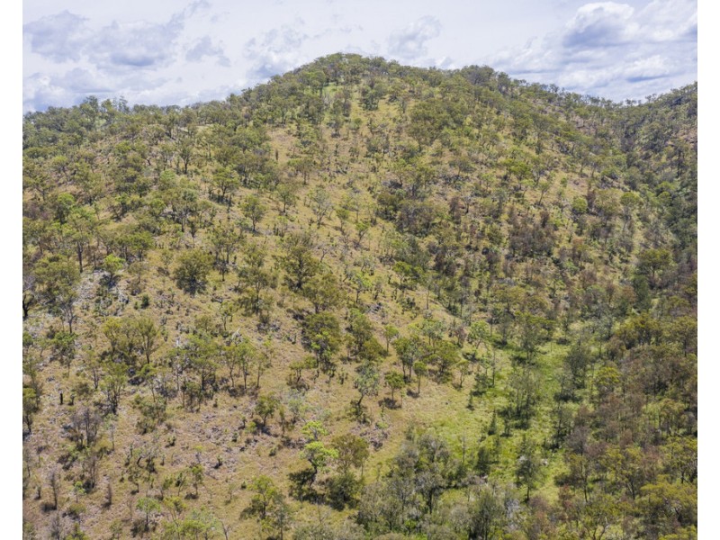 78 Mundine Road, Upper Fine Flower NSW 2460