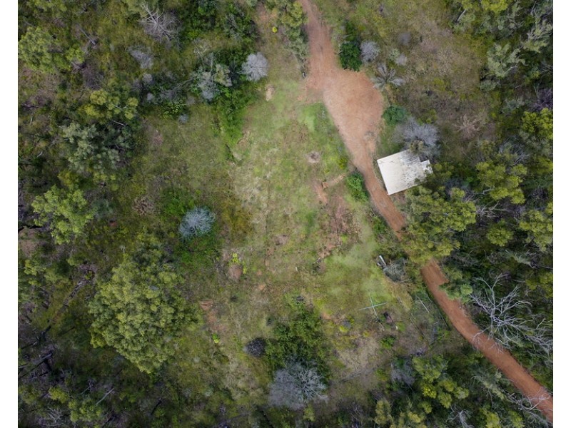 484 Glens Creek Road, Nymboida NSW 2460