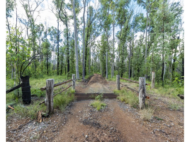 484 Glens Creek Road, Nymboida NSW 2460