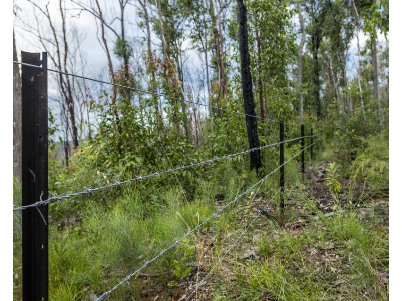 484 Glens Creek Road, Nymboida NSW 2460