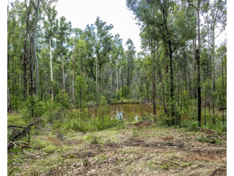 484 Glens Creek Road, Nymboida NSW 2460