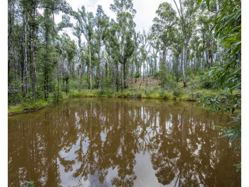 484 Glens Creek Road, Nymboida NSW 2460