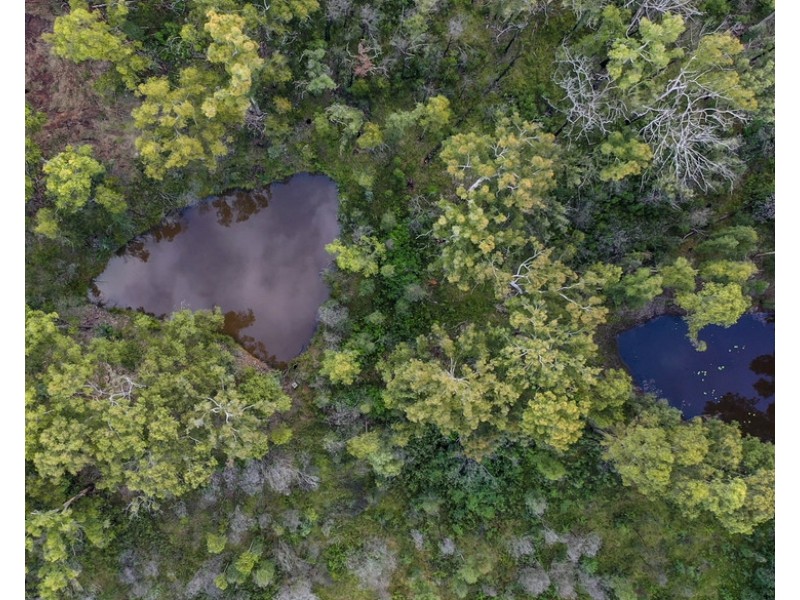 484 Glens Creek Road, Nymboida NSW 2460