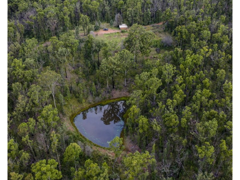 484 Glens Creek Road, Nymboida NSW 2460