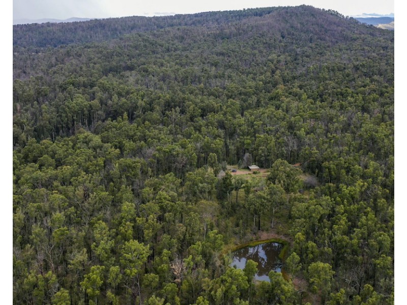 484 Glens Creek Road, Nymboida NSW 2460