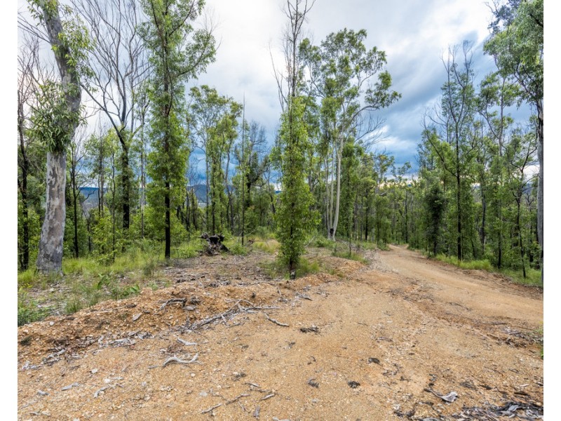 484 Glens Creek Road, Nymboida NSW 2460