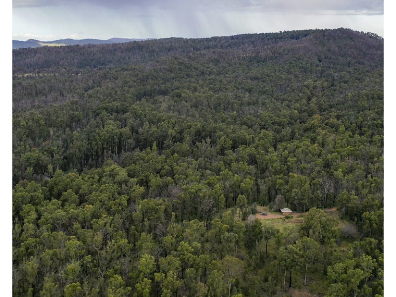 484 Glens Creek Road, Nymboida NSW 2460