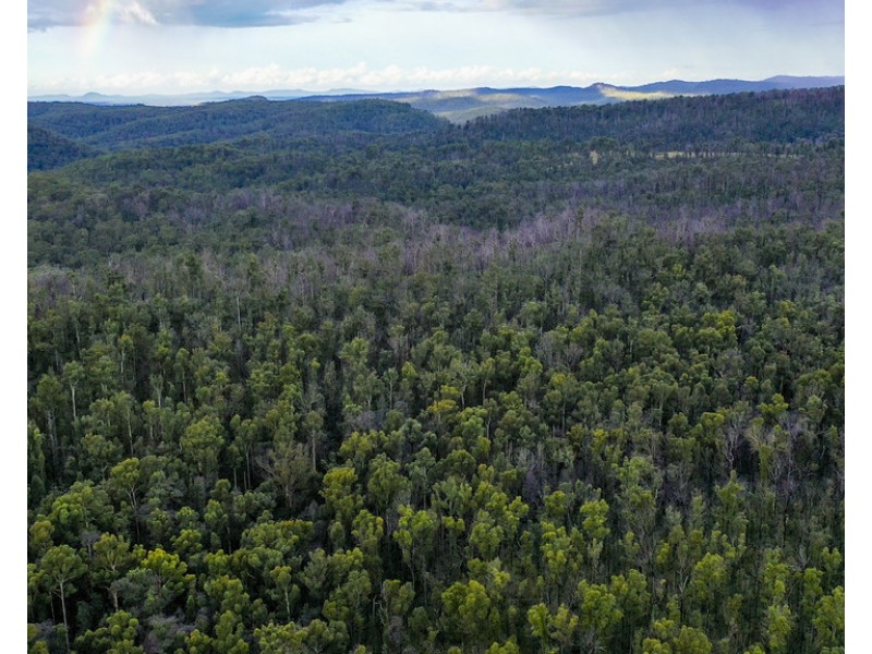 484 Glens Creek Road, Nymboida NSW 2460