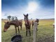 46 Punt Lane, The Whiteman NSW 2460