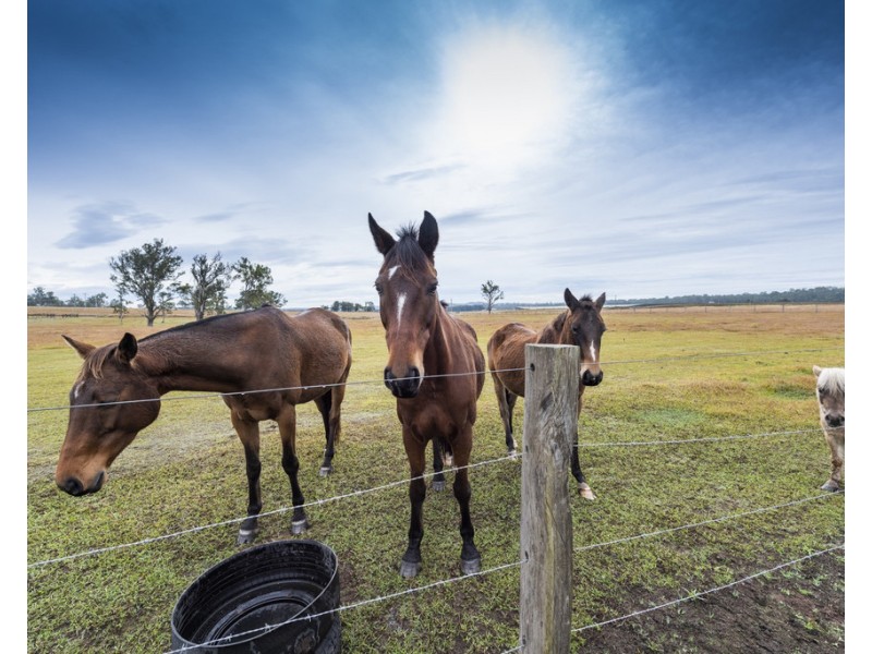 46 Punt Lane, The Whiteman NSW 2460