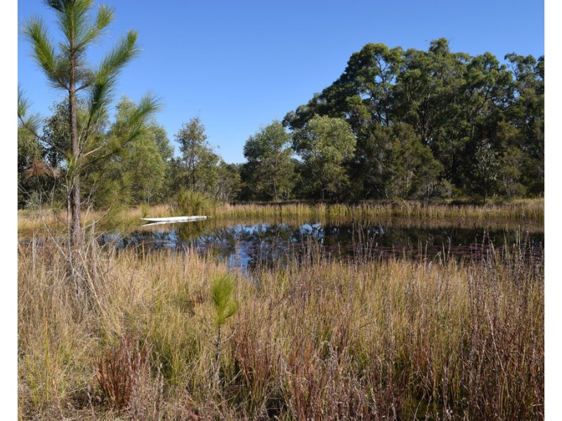 54 Florda Red Drive, Wells Crossing NSW 2460