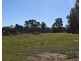 54 Florda Red Drive, Wells Crossing NSW 2460