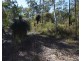 54 Florda Red Drive, Wells Crossing NSW 2460