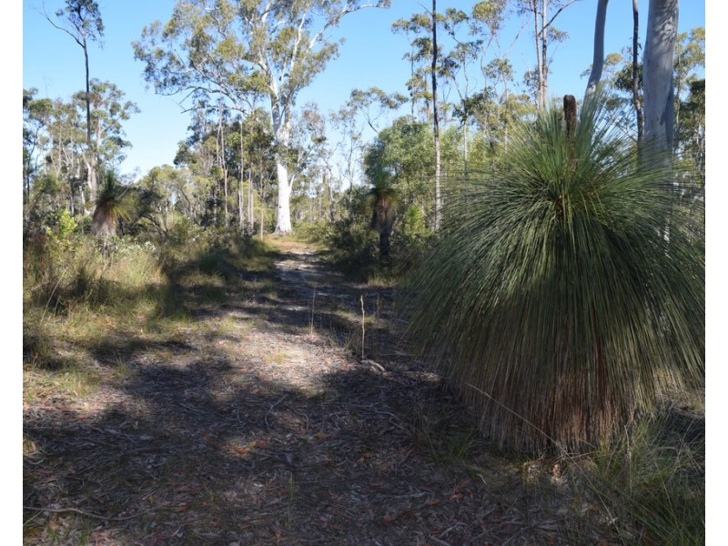 54 Florda Red Drive, Wells Crossing NSW 2460