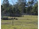 54 Florda Red Drive, Wells Crossing NSW 2460