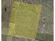 54 Florda Red Drive, Wells Crossing NSW 2460