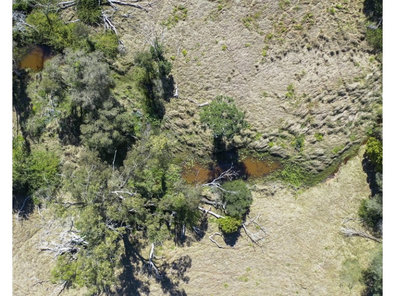 Lots 21 and 22 of 89 Red Lane, Trenayr NSW 2460