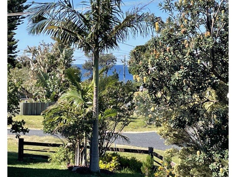 1 Heath Street, Minnie Water NSW 2462
