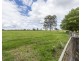 1040 Armidale Road, Elland NSW 2460