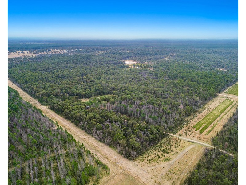 6189 Summerland Way, Camira NSW 2469