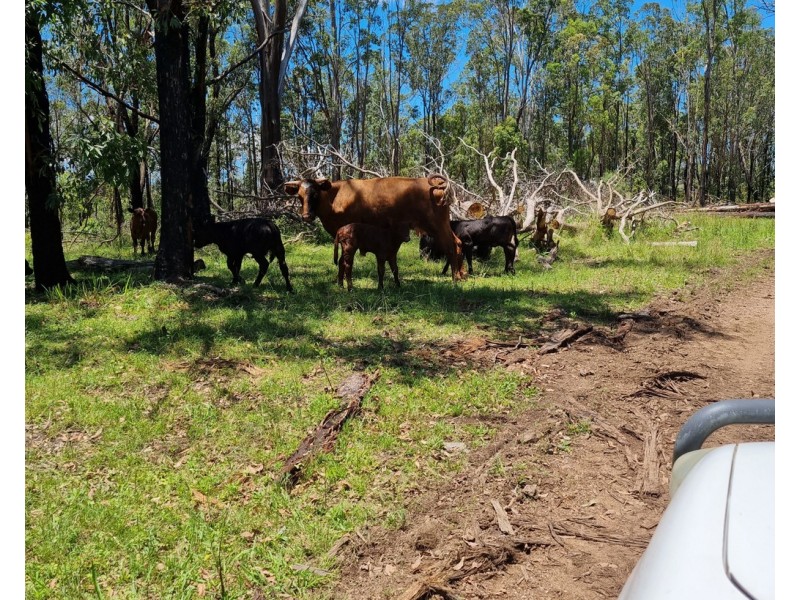 LOT 8 and 9 DP 752838 – Doboy Road, Buccarumbi NSW 2460