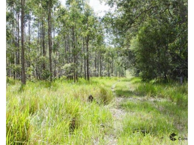 Lot 980 Firth Heinz Road, Pillar Valley NSW 2462