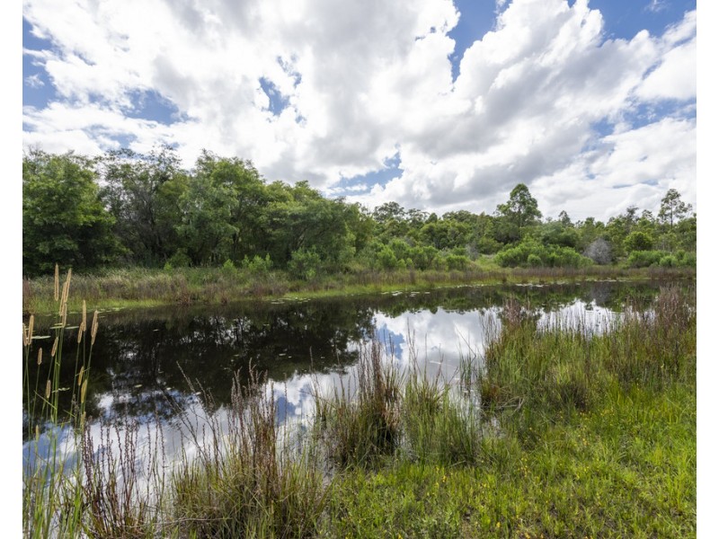 Lot 980 Firth Heinz Road, Pillar Valley NSW 2462