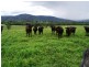 18 Coombadjha Road, Coombadjha NSW 2460