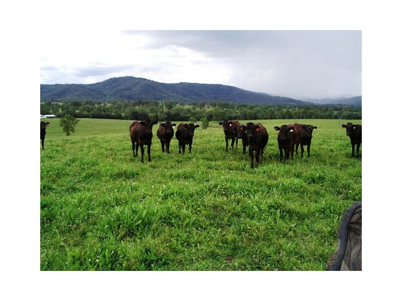 18 Coombadjha Road, Coombadjha NSW 2460