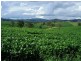 18 Coombadjha Road, Coombadjha NSW 2460