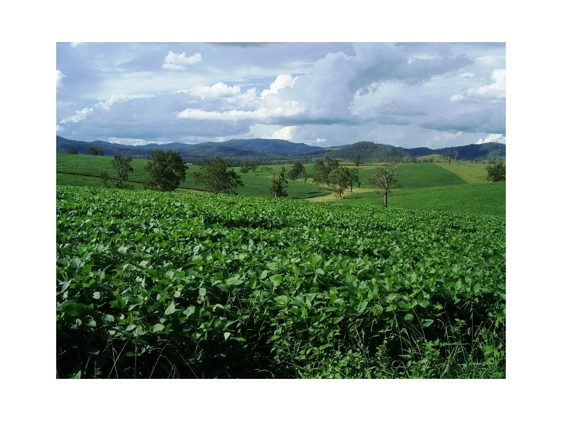 18 Coombadjha Road, Coombadjha NSW 2460