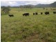 18 Coombadjha Road, Coombadjha NSW 2460
