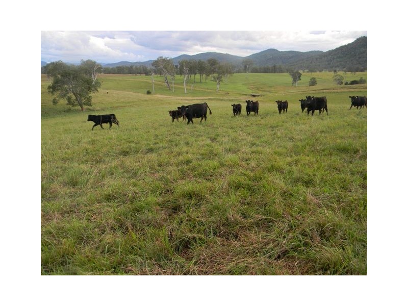 18 Coombadjha Road, Coombadjha NSW 2460