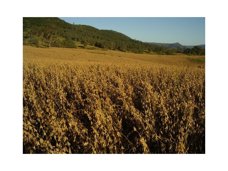 18 Coombadjha Road, Coombadjha NSW 2460