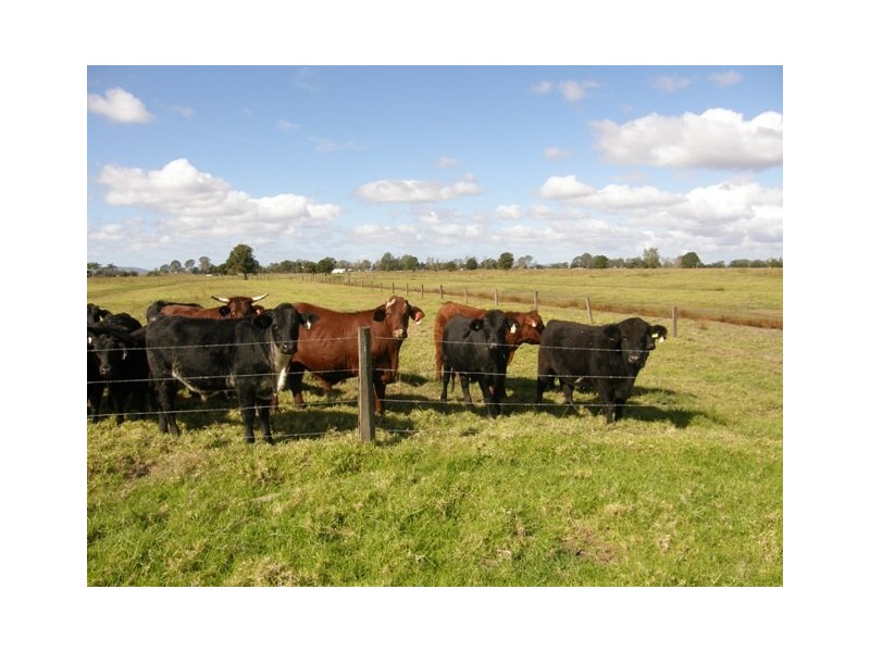 986 Lawrence Road, Southgate NSW 2460