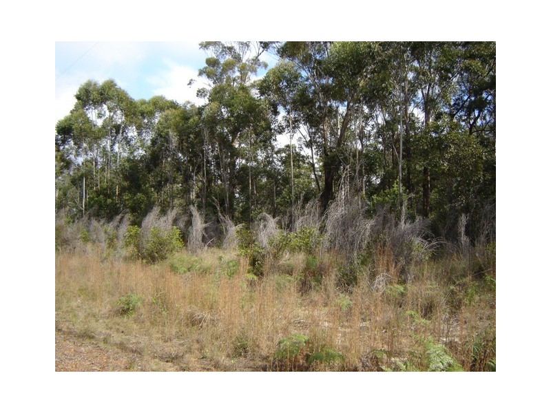334 Fortis Drive, The Pinnacles NSW 2460