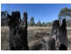 95 Old Six Mile Lane, Glenugie NSW 2460